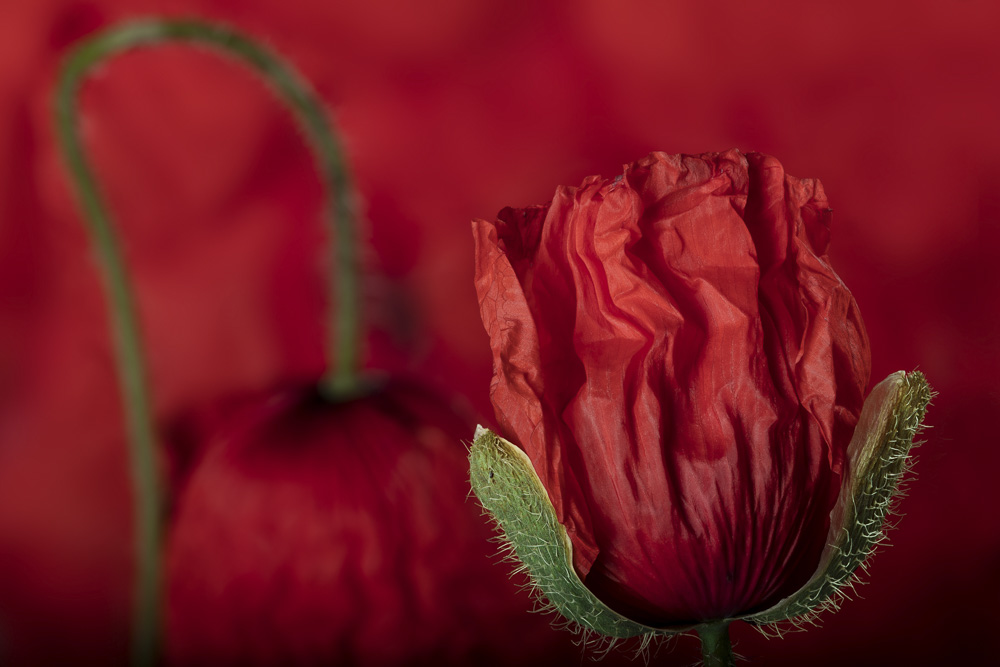 Monatsbilder Juli 2019